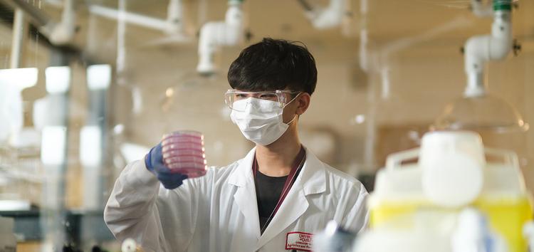 Student in a lab coat and mask standing at a lab desk holding a stack of petri dishes and lab equipment around him.