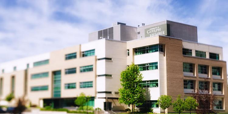 Guelph-Humber building