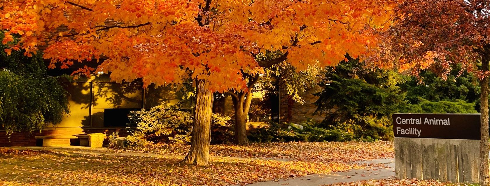Central Animal Facility sign with orange tree