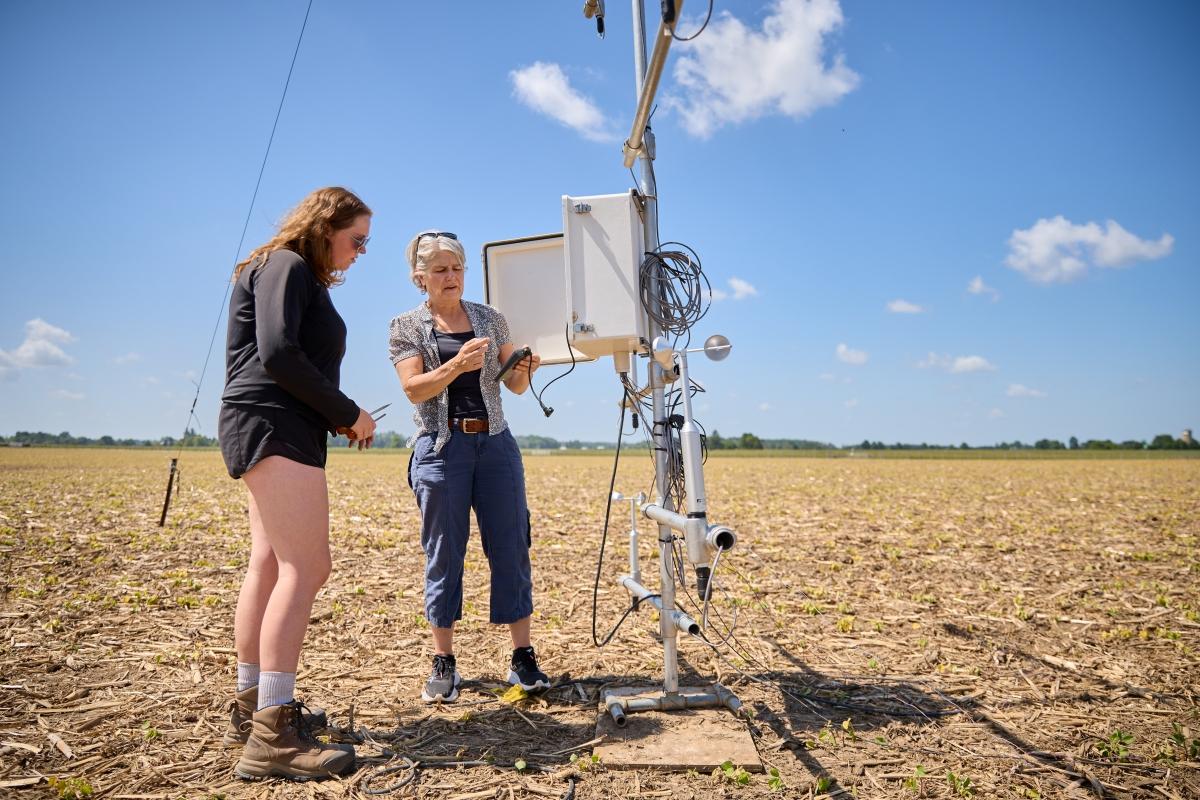 Two people standing in a field of small plants looking at weather equipment.