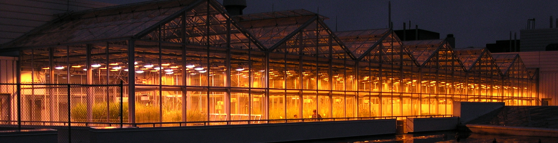 Image of the Phytotron's greenhouse at night