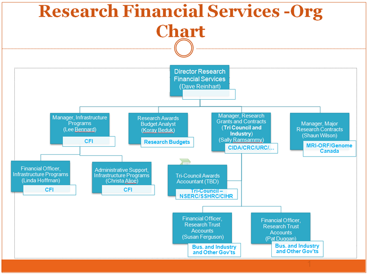 Organization Chart Financial Services