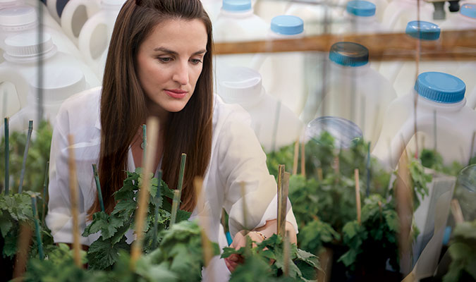 A woman with long, brown hair wearing a white lab coat tending to plants for research purposes, overlayed with test bottles also used in her research. 