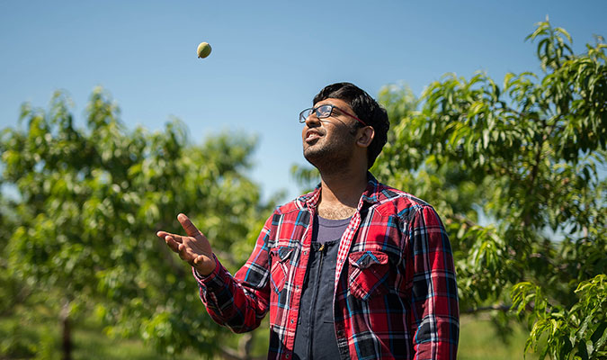 A male student shows him in a peach orchard, wearing a red, white, black and blue plaid shirt and tossing a small peach fruit up in the air with one hand.