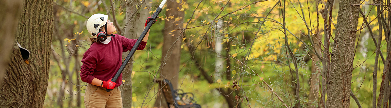 Caroline Pottruff working in a forest with a hard hat on