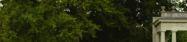 Trees and corner of portico