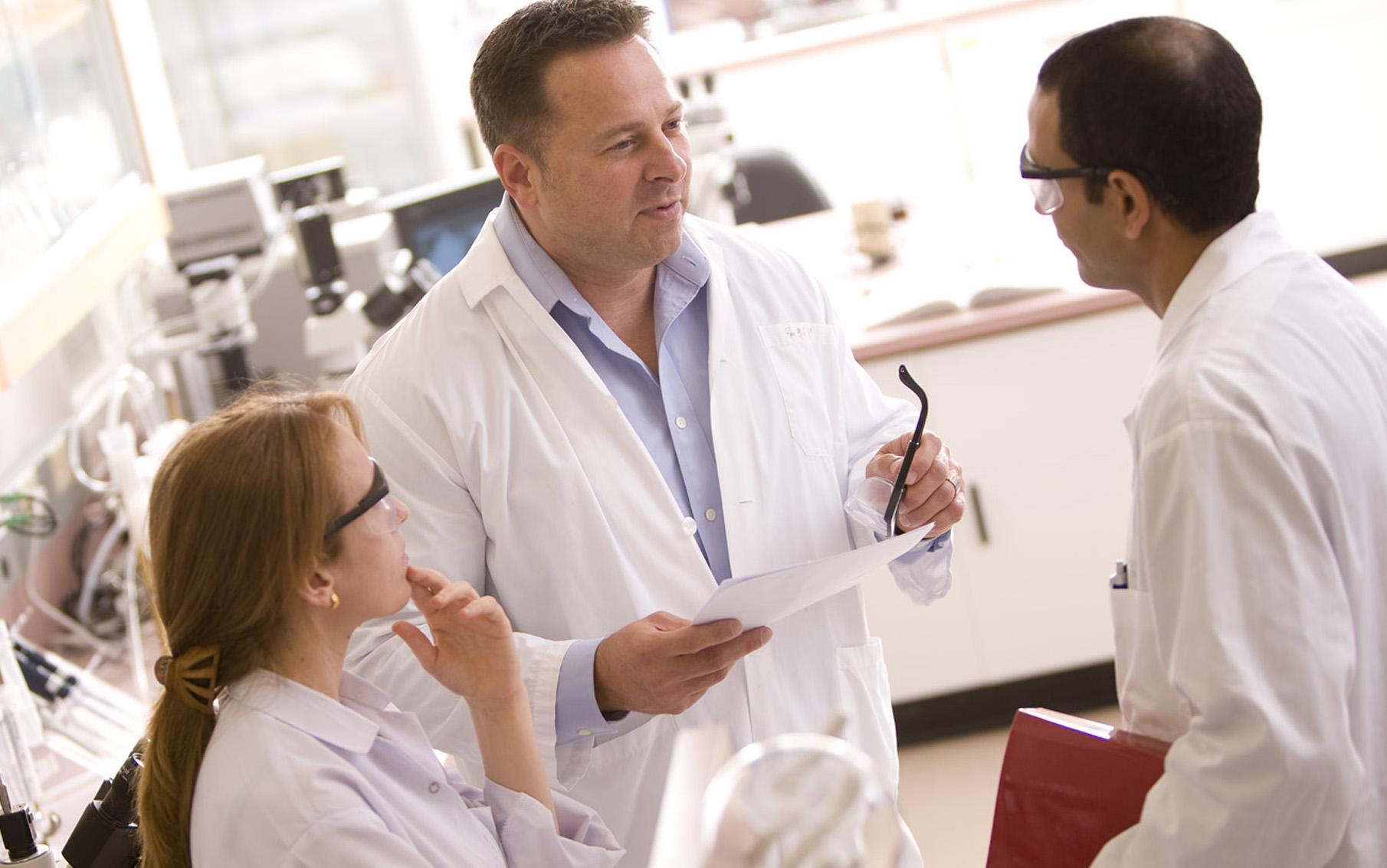 Researchers Collaborating