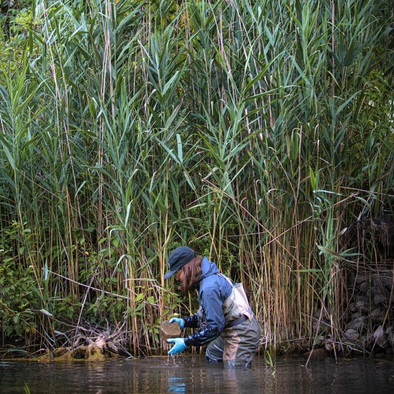 Researcher gathering samples in a creek