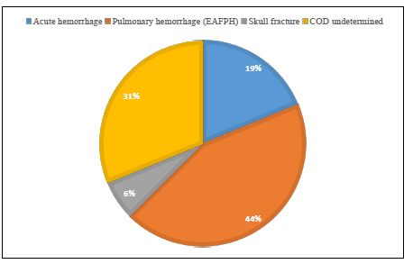 Figure 2. Diagnoses by body system for AGCO exercise-associated sudden death cases  submitted to the AHL, 2023.