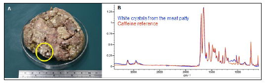 Figure 2. Mystery meat found in backyard. 2A. Small white crystals in the meat were removed for analysis. 2B. Fourier Transform Infrared Spectroscopy (FTIR) spectrum showed an almost perfect match with the caffeine reference. 