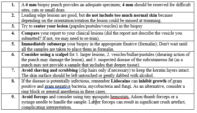 Table 1. Quick tips for maximizing the diagnostic utility of skin biopsies for histopathologic evaluation