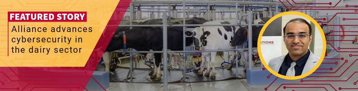 The image features a banner for a featured story about advancements in cybersecurity within the dairy sector. On the left, there are several cows in a modern milking facility with automated equipment. On the right, a profile photo of Dr. Dehghantanha.