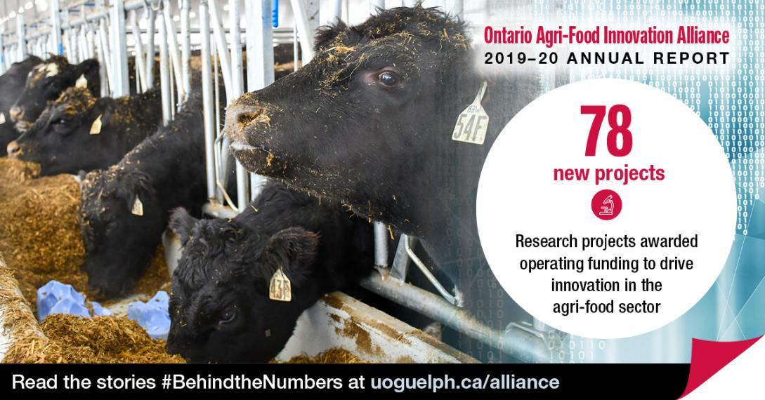 #BehindtheNumbers: Alliance-funded Research Contributes To New On-farm ...