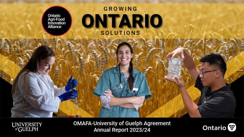 Image representing Growing Ontario Solutions 2023/24 shows a researcher pipetting, one smiling at the camera, and one inspecting a glass jar full of tiny fish. 