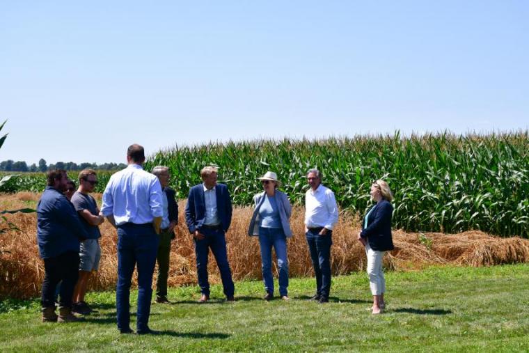 A group of people, dressed professionally, smile and talk in front of a wheat field