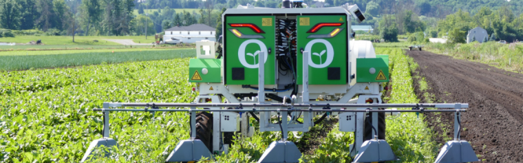 Robot on a field of carrots. The robot is box-shaped, coloured green with two stickers that represent eyes, with a bar over its wheels that is equipped with several hood components.