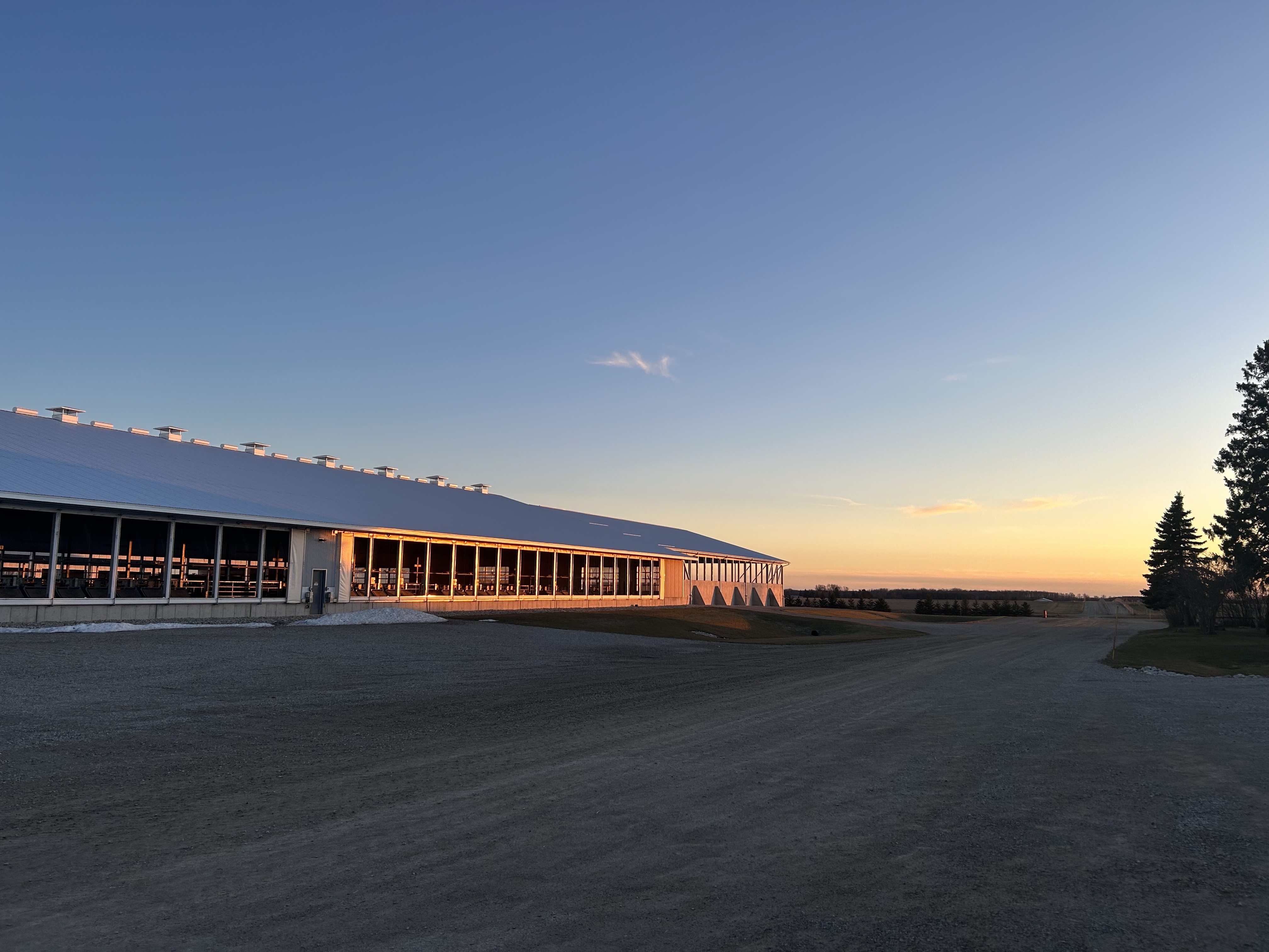 A long metal feedlot barn with a line of windows along the side reflects the warm glow of a sunset.