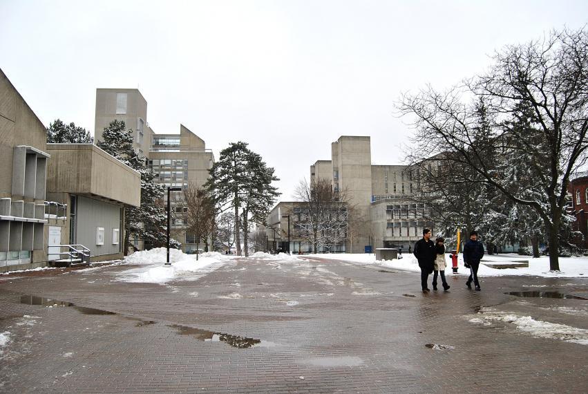 Individuals walking on the University of Guelph campus