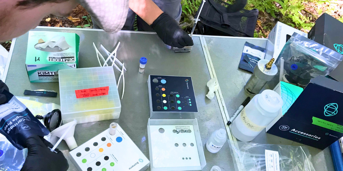 Students extract eDNA from the filters in the field.