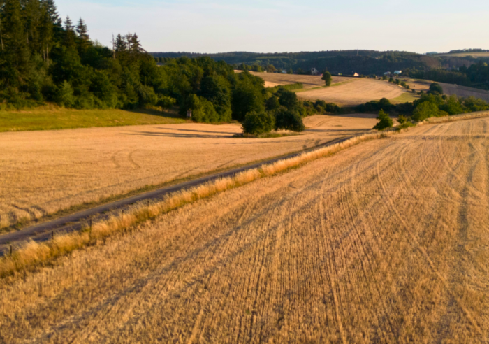 Farm field