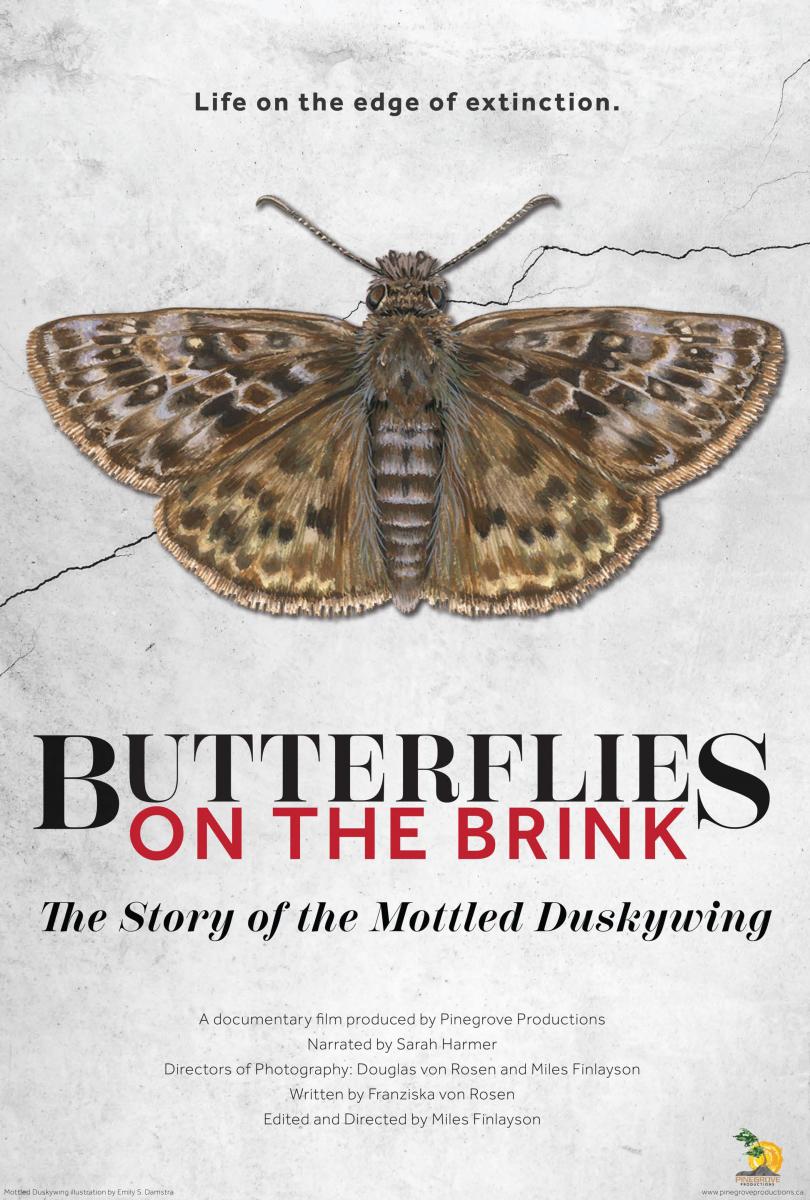 Butterflies on the Brink poster