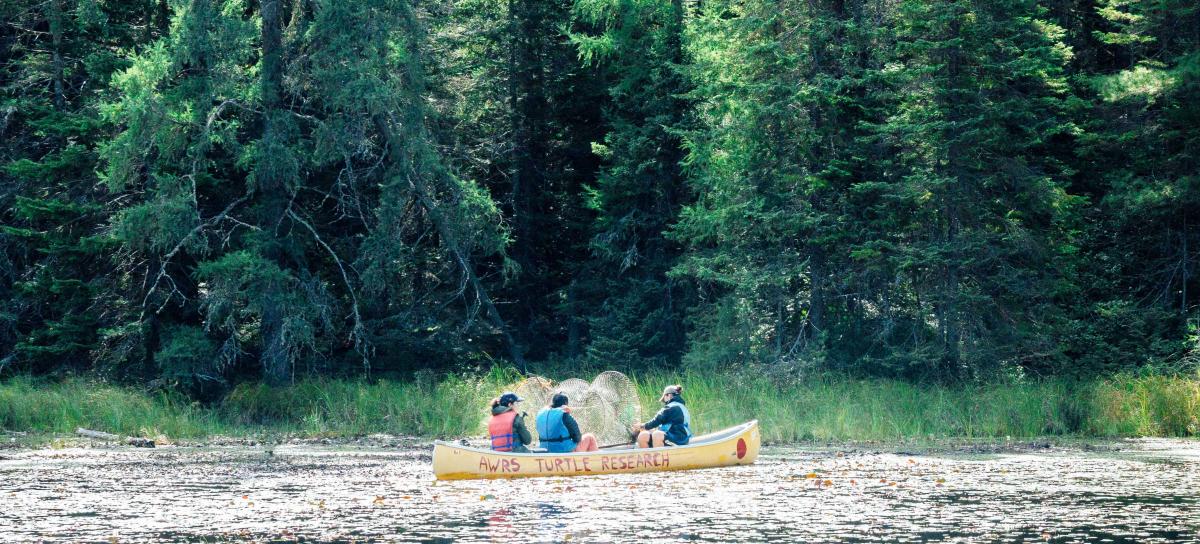 FREED students in a canoe