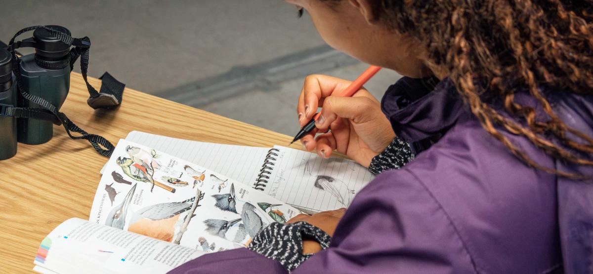 Student drawing a bird