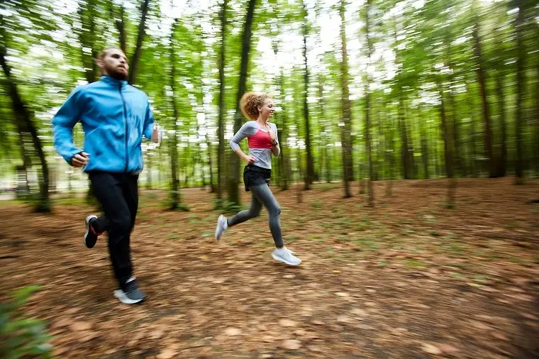 people jogging in forest