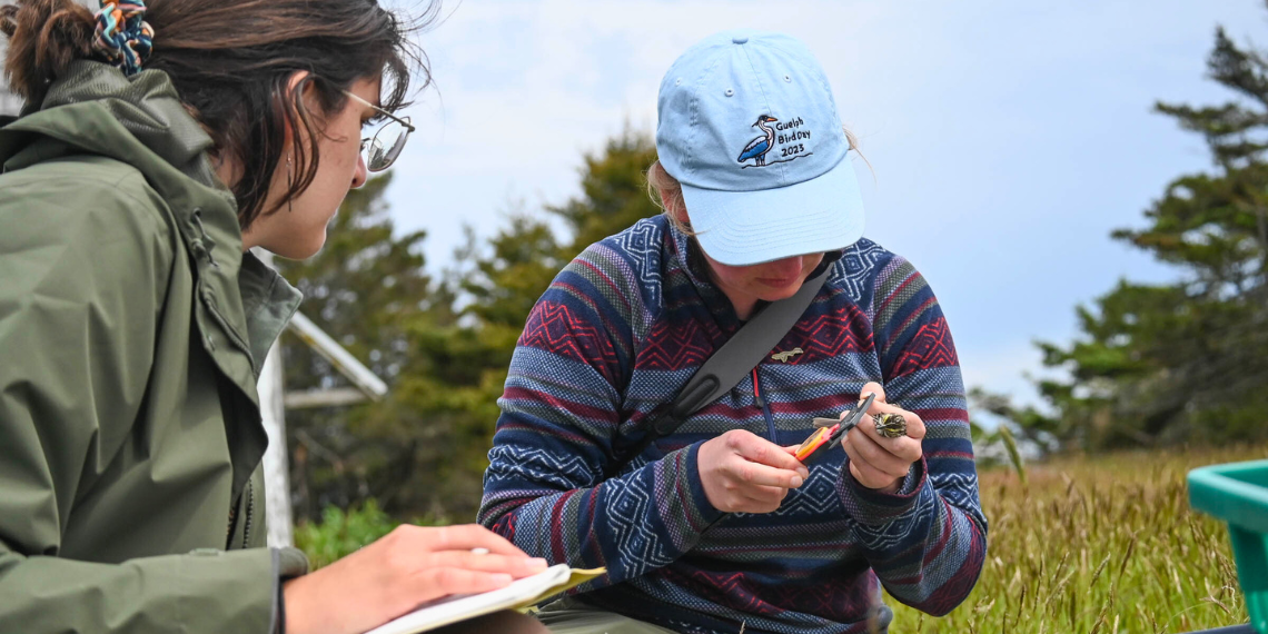 Alexis Van Esch and Sarah Mueller with a Savannah sparrow