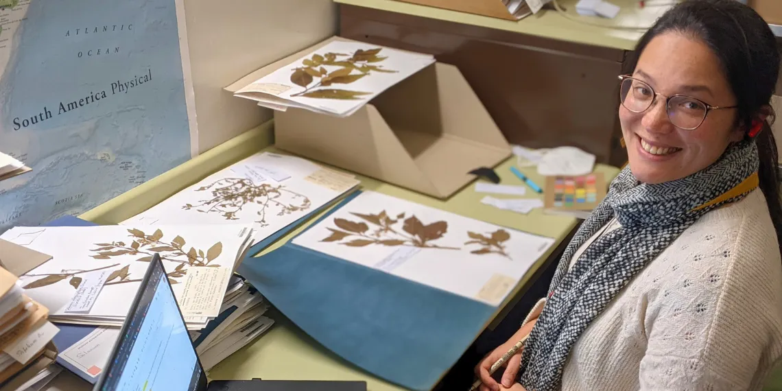 doctor working with herbarium samples