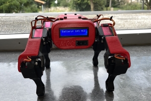 Image of Clifford's on/off switch and battery level display on reverse side of his body.