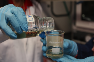 Researcher pouring camelina oil into another vial