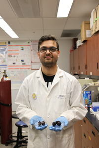 Rahul Islam Barbhuiya wearing personal protective equipment in the research lab holding petri dishes of blackberries.