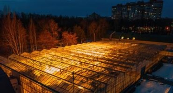 A photo of U of G greenhouses.