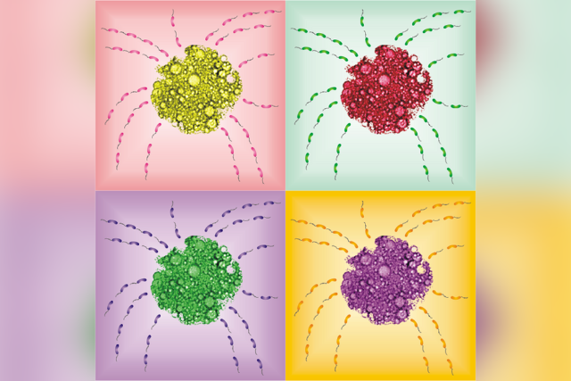 Microscopic marine bacteria graphic