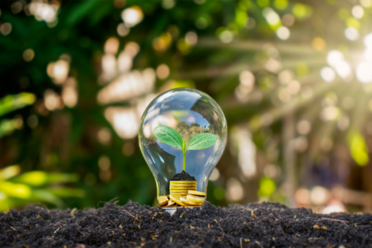 Lightbulb with plant inside in soil, with trees in the background on a sunny day.