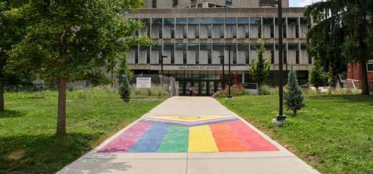 Walkway with Pride flag in front of McLaughlin Library.