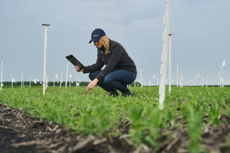 Person crouching down on a farming field with a tablet in hand. 