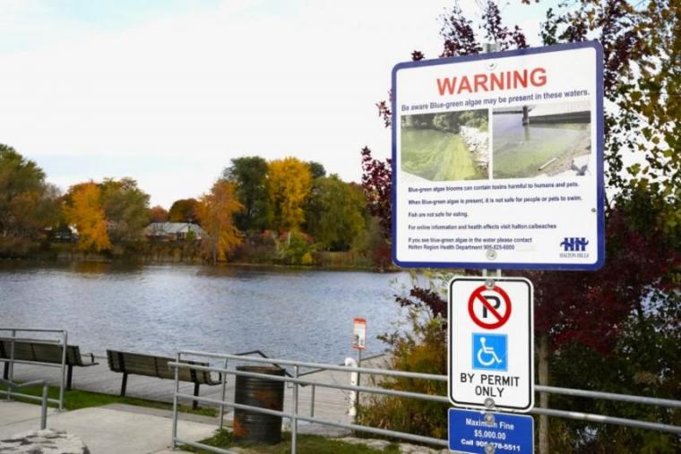 A sign warning the public about blue-green algae in Fairy Lake.