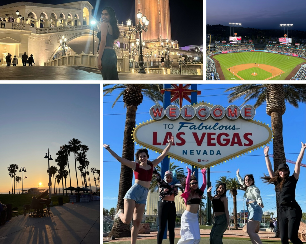 USA field school pictures - stadium, palm trees, students jumping, building