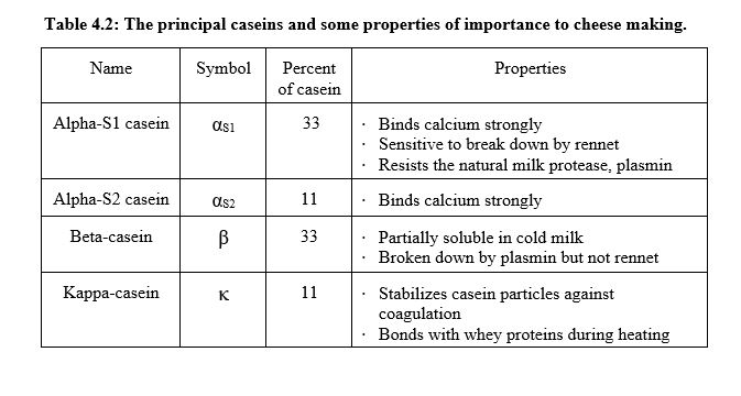 Section C Milk