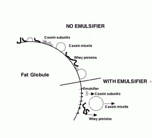 Emulsifier vs Stabilizer  Difference between Icecream stabilizer