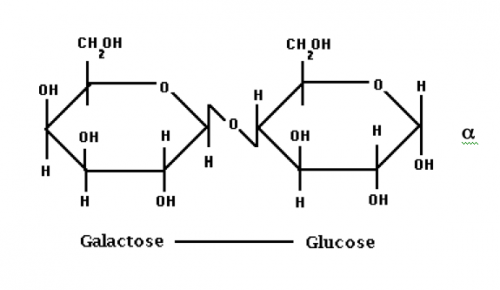 galactose anomeric carbon