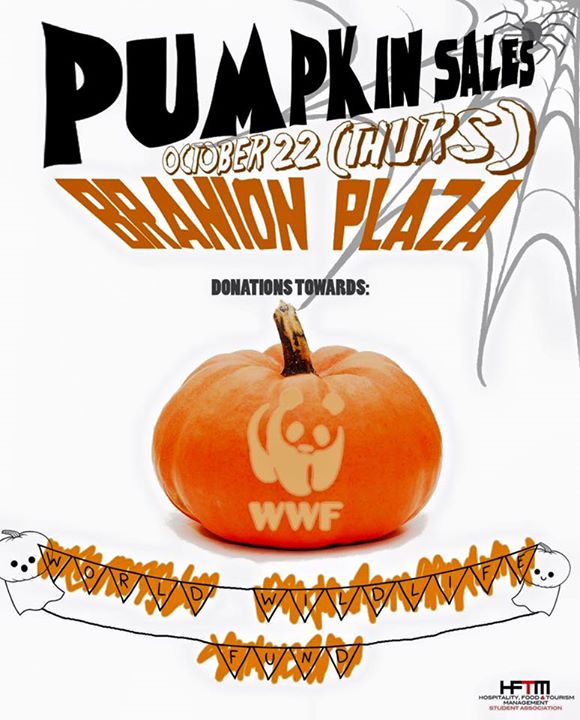 Pumpkin Sales Poster Details