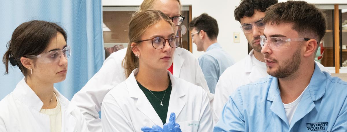 Students in the Human Anatomy Lab