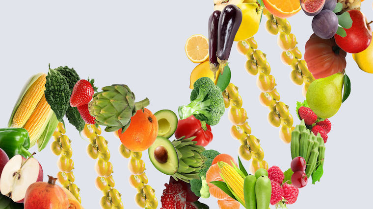 An image of fruit arranged in a DNA strand