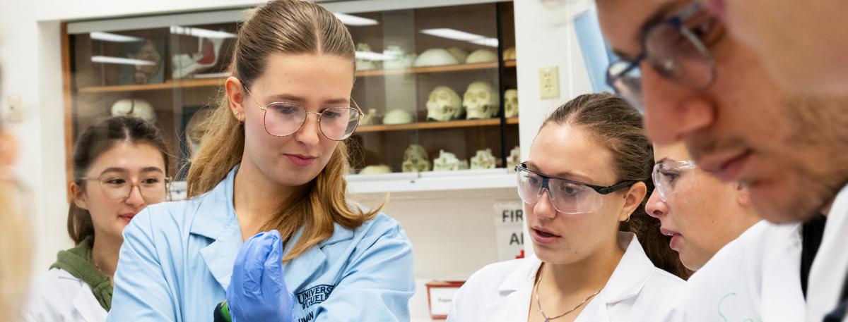 Students in the Human Anatomy Lab