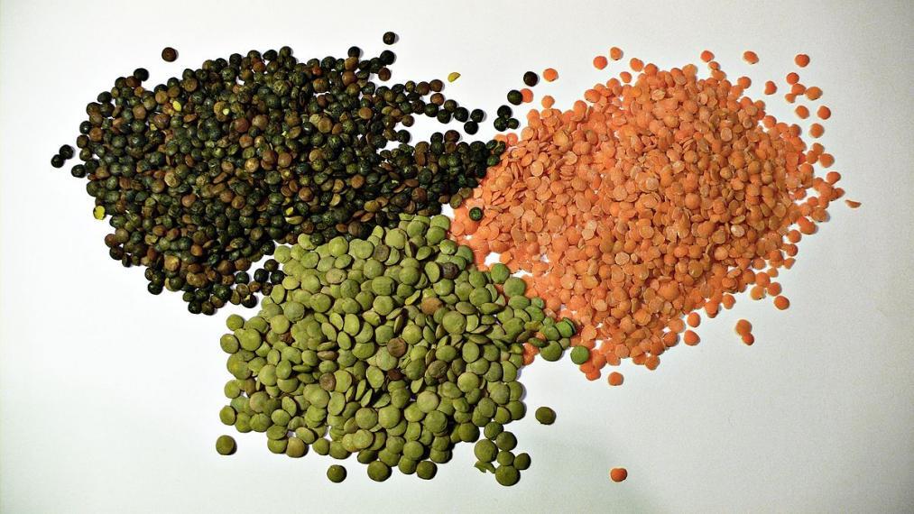 A photograph showing 3 types of Lentils