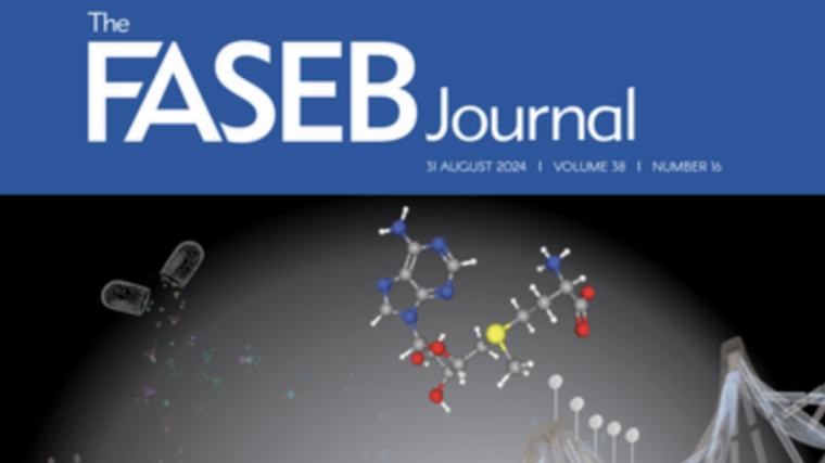 An image of the cover image of FASEB Journal