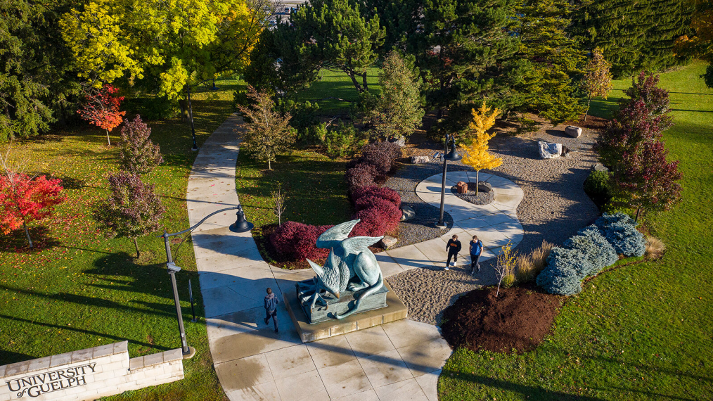 An aerial photo of the Gryphon statue at the University of Guelph campus. 